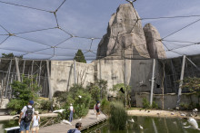 La grande volière du Parc zoologique de Paris