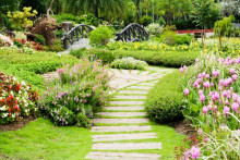 arroser le soir son jardin est le plus efficace par temps de canicule