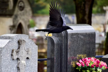 Des tombes dans un cimetière (photo illustration).