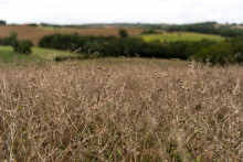 Dans l'Aube, les terrains des agriculteurs sont transformés en décharge.