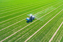 Des pesticides pourraient bientôt être remplacés par des traitements fonctionnant à l'odeur.