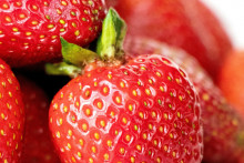 Fraises