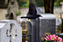 Des tombes dans un cimetière (illustration)