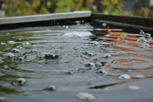 De l'eau de pluie (illustration)