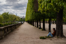 Le jardin des Tuileries à Paris.