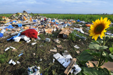 Les débris du vol MH17 de Malaysia Airlines qui s'est écrasé en Ukraine, le 19 juillet 2014.