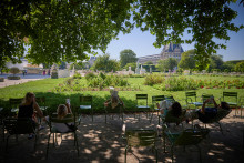 Des personnes trouvent refuge à l'ombre au jardin des Tuileries, pendant la canicule du 1er juillet 2025.