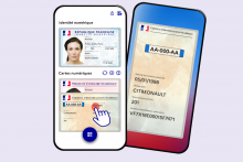 La carte grise arrive dans France Identité