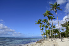 Plage de Bois-Jolan, en Guadeloupe.