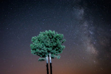 Un ciel étoilé (image d'illustration)