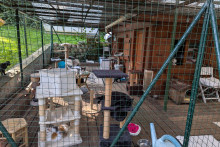 Le refuge pour animaux de Neufchelles (Haute-Savoie)