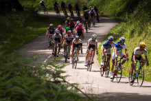 Le peloton cycliste en juin 2016