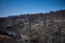 Le paysage ravagé par un récent incendie de forêt est visible le 8 août 2025 à Jonquieres, en France.