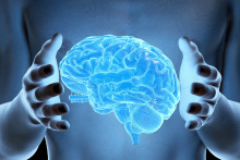 Illustration d'un cerveau illuminé