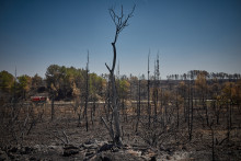 L'incendie dans l'Aude a brûlé de nombreuses exploitations de vin.
