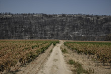 L'Aude est de nouveau en vigilance rouge incendie.