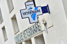 Enseigne d'une clinique vétérinaire, Nantes, France (illustration)