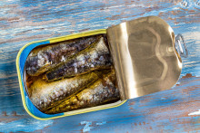 Une boite de sardines.