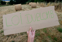 Pancarte sur la loi Duplomb dans un champ agricole dans la Loire.