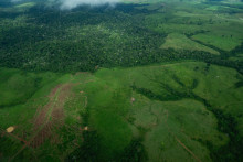 Vue aérienne montrant une zone dégradée de la forêt amazonienne dans l'État du Pará, au Brésil, le 13 juin 2025.