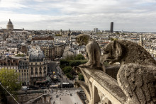 Les gargouilles restaurées de Notre-Dame de Paris