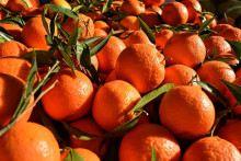 (Illustration) Des oranges.