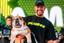 Lewis Hamilton et Roscoe