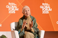 Jane Goodall lors du Bloomberg Philanthropies Global Forum 2025 à l'hôtel Plaza, le 24 septembre 2025 à New York.