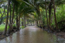 L'eau monte en Guadeloupe à cause de la tempête Jerry, le 10 octobre 2025