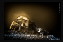 Capture d'écran du site du musée d'histoire naturelle de Londres qui a élu la meilleure photo animalière de 2025