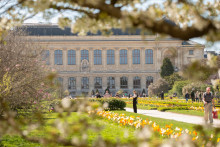 Le jardin des Plantes et le Muséum d'histoire naturelle