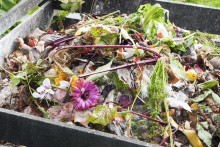 En été, le composteur peut attirer les mouches. Mieux vaut donc l'éloigner de la maison !