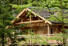 Un chalet dans la forêt (Image d'illustration)