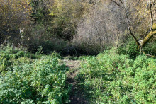 Vue du lieu où un corps mutilé a été découvert à Fédry en Haute-Saône