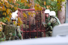 Cages pour capturer des ours