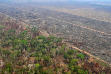 Une vue aérienne d'une zone de forêt amazonienne déboisée par des incendies illégaux dans la municipalité de Labrea, État d'Amazonas, Brésil, prise le 20 août 2024
