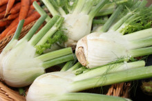 Du fenouil (illustration)