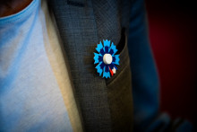 Le Bleuet de France (illustration).