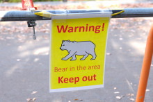 Affiche mettant en garde contre les ours dans la ville d'Akita, au Nord du Japon