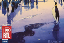 "Danser avec le vent" d'Emmanuel Lepage est la BD RTL de novembre 2025