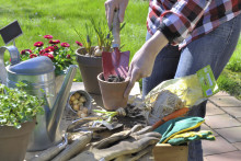Les outils du jardinier (illustration)