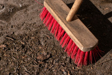 Image d'illustration