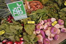 Des légumes issus de l'agriculture biologique (illustration)