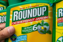 Le glyphosate est commercialisé par l'entreprise Bayer, sous la marque "Roundup" (photo d'illustration).