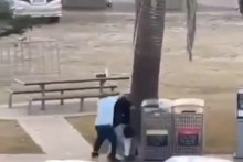 Ahmed al Ahmed parvient à désarmer un assaillant à Sydney, le 14 décembre 2025