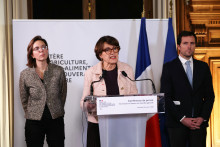 La ministre de l'Agriculture Annie Genevard le 9 janvier 2026