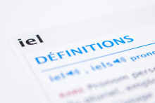 En 2021, le Robert a intégré dans son dictionnaire le pronom ni masculin ni féminin "iel"