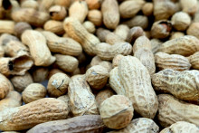 Des cacahuètes (image d'illustration)