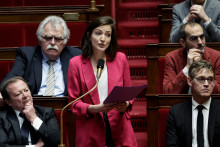 La députée écologistes Marie-Charlotte Garin à l'Assemblée nationale le 29 janvier 2025