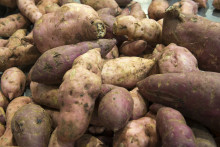 Des patates douces exposées sur une étale